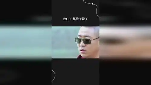 我cpu都给干烧了