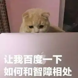  表情包喜欢的人怎么还不回我消息
