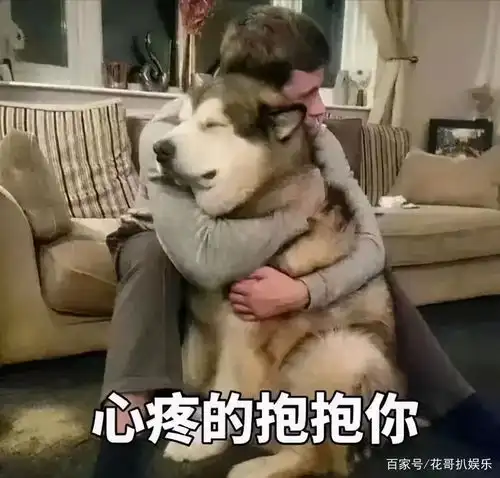  出事耽改男星的故事大花曾被他洗脑他进入娱乐圈有什么目的