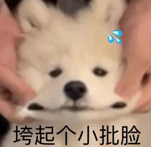  出轨夫妻不离婚的大瓜