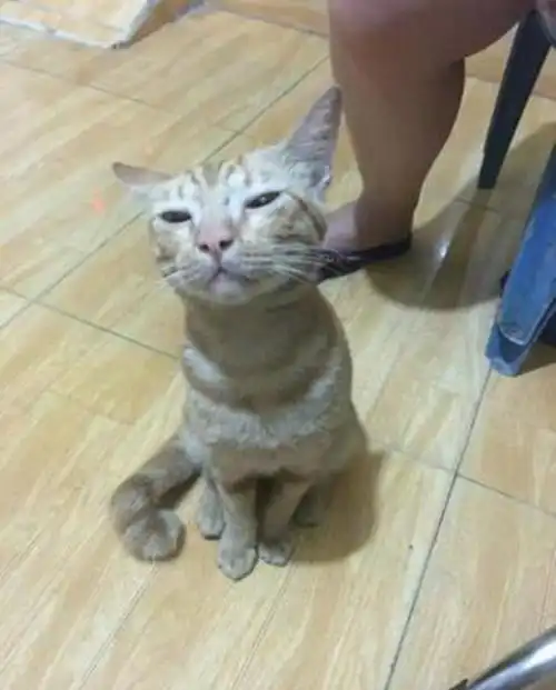  喜欢你,就像你妈打你,不讲道理