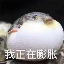 小猪喊到一系列表情包河豚