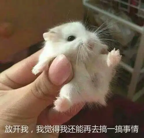  化妆