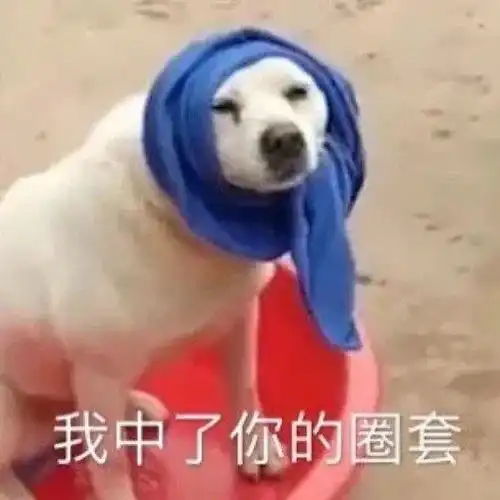  最近刺客信条steam史低,新手是直接全部购入还是等育碧促销玩完一部买一部