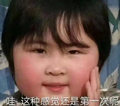 熊猫写字表情包原图王力