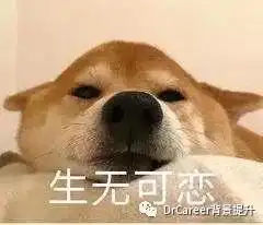  中国邮电大学居然是野鸡,392所野鸡大学名单曝光