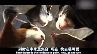  alexanderjordan的个人频道