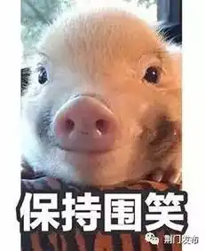  荆门市场上的猪肉安全吗记者为您揭秘