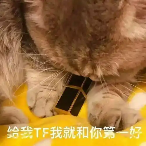  有了这组猫咪表情包,香奈儿迪奥mac等等的口红通通都会进你包里