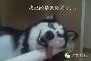  秀恩爱这次的台风要么不来,要来就来一双