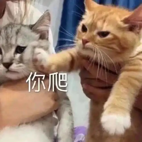  沙雕表情你能出来给我磕个头