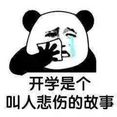  寒假走得太快,盘个点吧