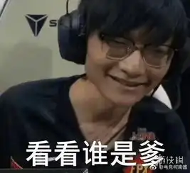  fpx夺冠表情包大全汇总英雄联盟fpx冠军表情包集锦