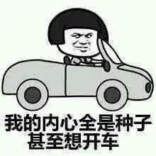  要是驾照分可以累积,老司机居然是这样想的