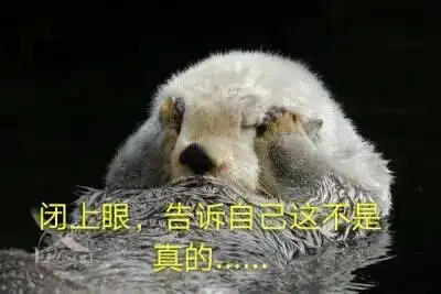  凌晨4点,男子7楼幸运挂机