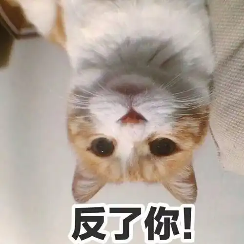  笑掉大牙那些生活中遇到过的尴尬事......