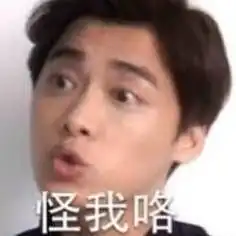  动物情书治愈向r