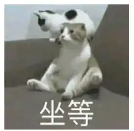  社区巴士终于等到你,岩头镇专属旅游社区巴士来啦
