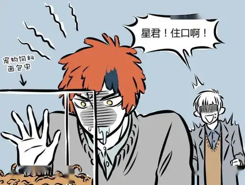 非人哉十一月买到仓鼠宝宝,昴日星君却只能面对满屋大哥