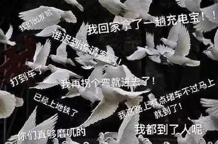  十条笑话我国的羊毛主要出产在什么地方