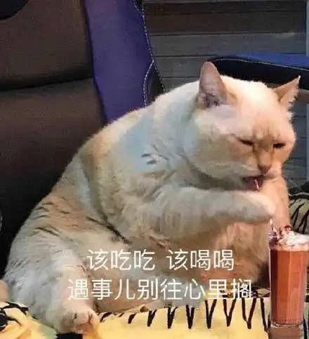 edg是什么意思表情包小