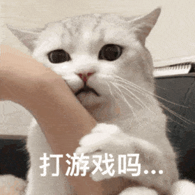  表情包动图你再说一遍