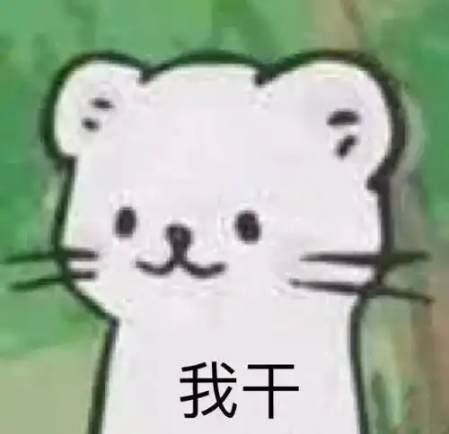  果然猫薄荷是猫咪的大软肋哈哈哈哈哈哈哈