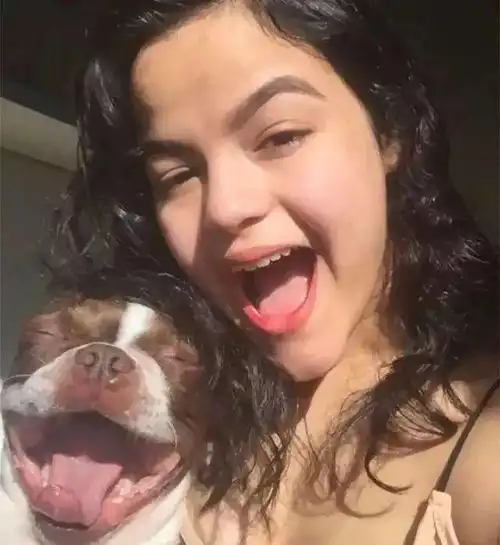  有什么样的宠物就有多二的主人