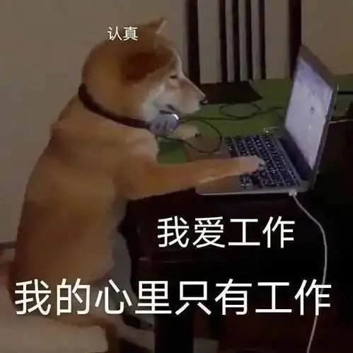 进城了表情包打工