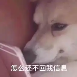  被苹果调查3个月之后,我积累了这类血泪经验给你们