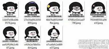  聊天工具最新软件订阅jz5u绿色下载站