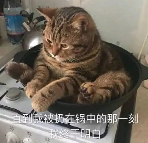  哔哩哔哩专栏