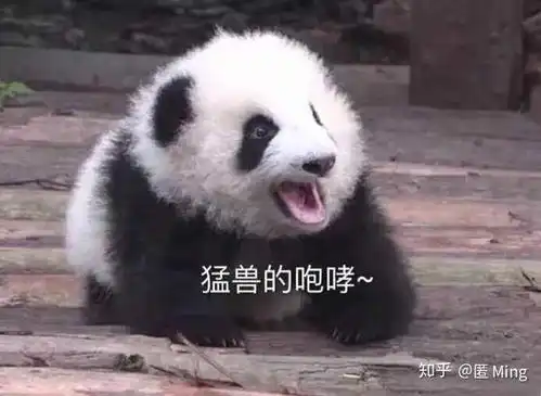  压箱底的笑话第七弹,谁会拒绝大笑的机会呢