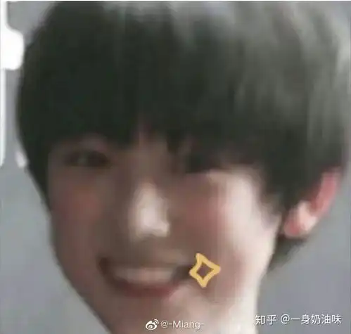  有哪些沙雕tnt时代少年团的表情包