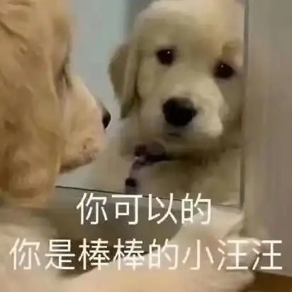 主人去摸狗狗的爪子,其实在汪看来有这些意思