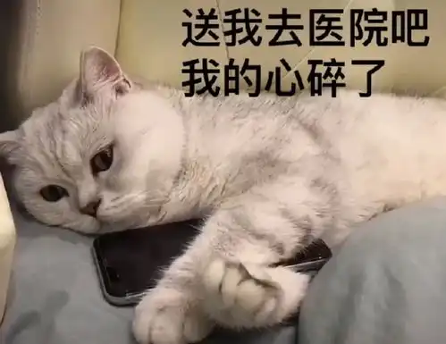苏喂苏喂苏喂表情包沙雕