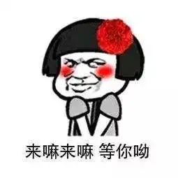  冲浪音乐美食引爆郑州,十一黄金周相聚赛飞豪斯