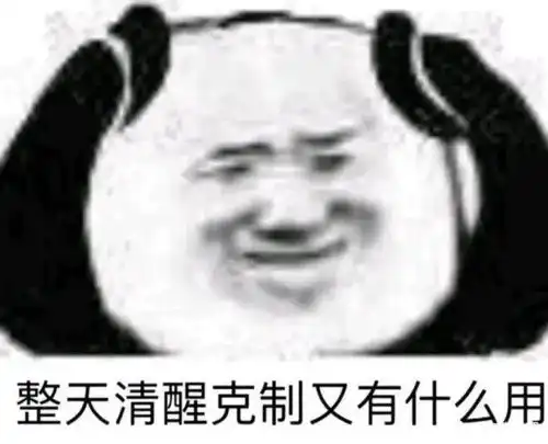  熊猫头表情包我懂,我会照顾好嫂子的