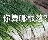  你算哪块小饼干表情包谁有你算哪块小饼干表情包提供