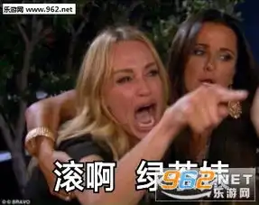怼人的图片表情包万叶