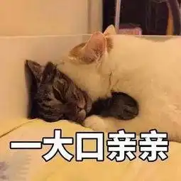  刚刚微信偷偷上线情侣空间,朋友圈都在秀