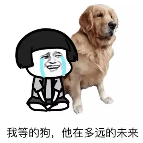 喂我是狗你说表情包