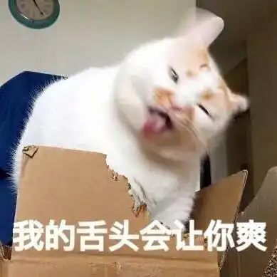  主人拍下猫咪啃箱子时的画面,哈哈,张张都是表情包,感受下...