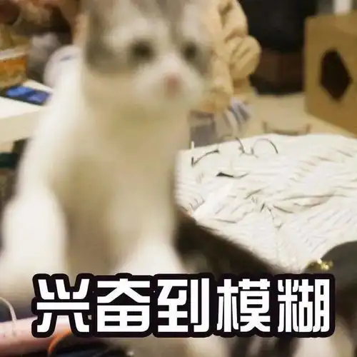  17大风降雪boss级强冷空气即将发货,就在