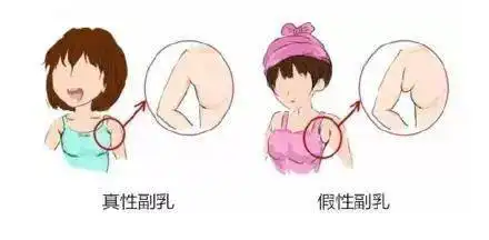  虞书欣公开要求p副乳,身材管理这么难吗