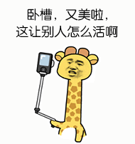 懂了表情包动图表情包