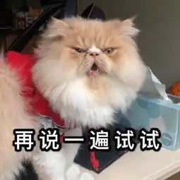  猫咪表情包合集我没事,我很快乐