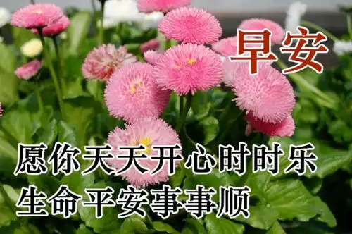 早上好表情包可爱聊天