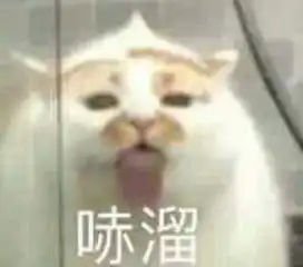  销售技能强化