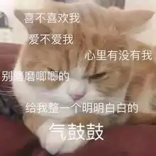  撩小姐姐的表情包,让聊天变甜
